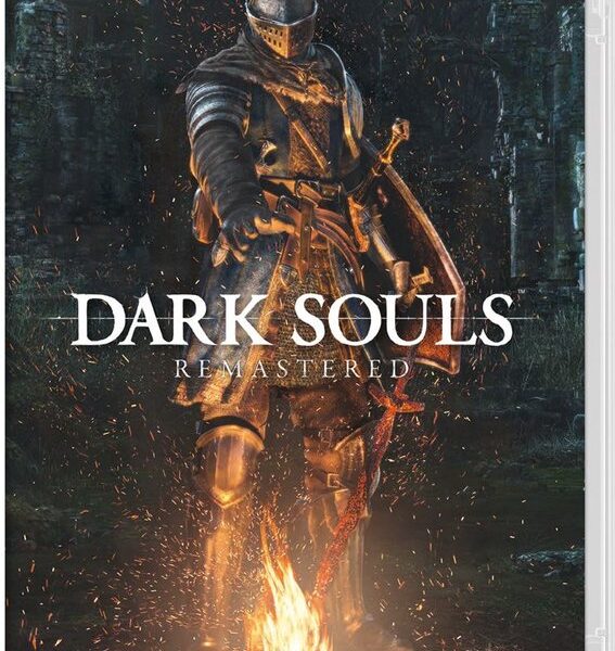 Уживані Nintendo Switch Dark Souls Remastered (eng, ru sub)